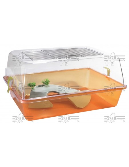 2G-R TORTUGUERA ELBA  - 3