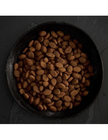 CANAGAN CARNES DE CAZA PARA PERROS 2 KG 12 KG 6 KG - 4