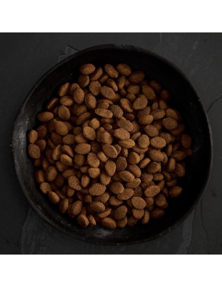 CANAGAN CARNES DE CAZA PARA PERROS 2 KG 12 KG 6 KG - 4