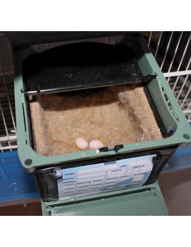 MOLDES AVE NIDO ISABELA PARA EXÓTICOS  - 12