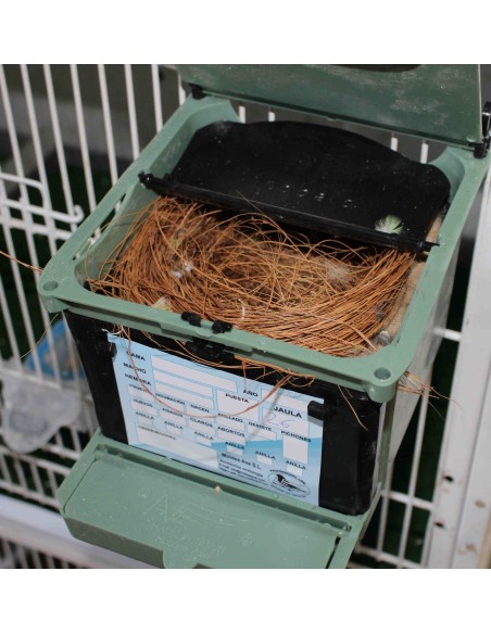 MOLDES AVE NIDO ISABELA PARA EXÓTICOS  - 13