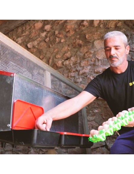 COPELE PONEDERO PLATINUM EXTERIOR - 4 DEPARTAMENTOS  - 2