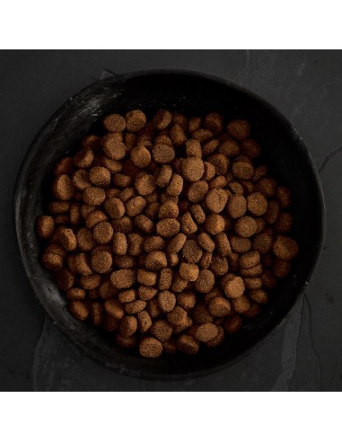 CANAGAN FESTÍN DE LAS HIGHLANDS PARA PERROS 2 KG 12 KG 6 KG - 4