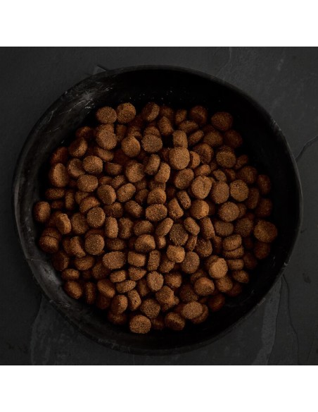 CANAGAN FESTÍN DE LAS HIGHLANDS PARA PERROS 2 KG 12 KG 6 KG - 4