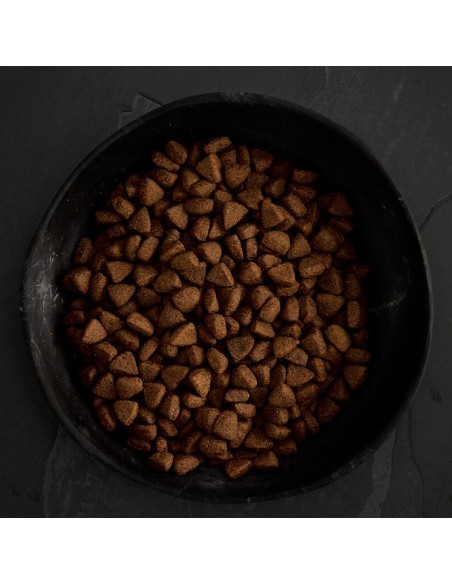 CANAGAN POLLO CAMPERO PARA PERROS 2 KG 12 KG 6 KG - 4