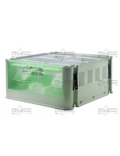 2G-R TRANSPORTIN TINO ECONOMY 