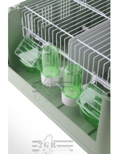 2G-R TRANSPORTIN TINO ECONOMY  2