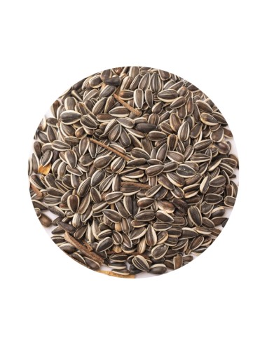 PET CUP PIPA IREGUI RAYADA - 20 KG 20 KG