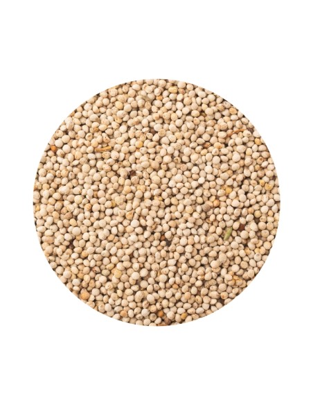 PET CUP PERILLA - 13 KG 13 KG