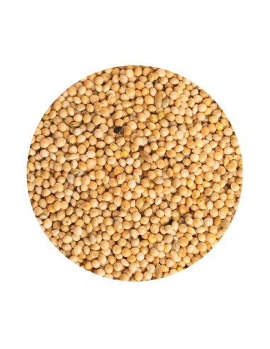 PET CUP MIJO BLANCO - 20 KG 20 KG