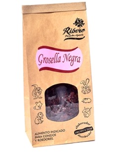 RIBERO GROSELLA NEGRA GAMMA FRUTIX - 200 GR
