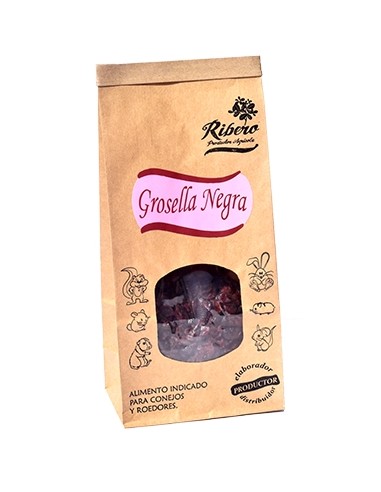 RIBERO GROSELLA NEGRA GAMMA FRUTIX - 200 GR
