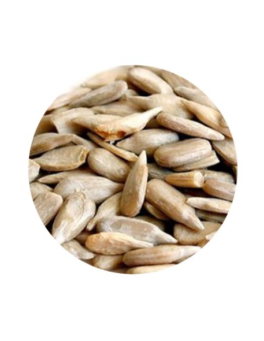 PET CUP PIPA PELADA - 20 KG 20 KG