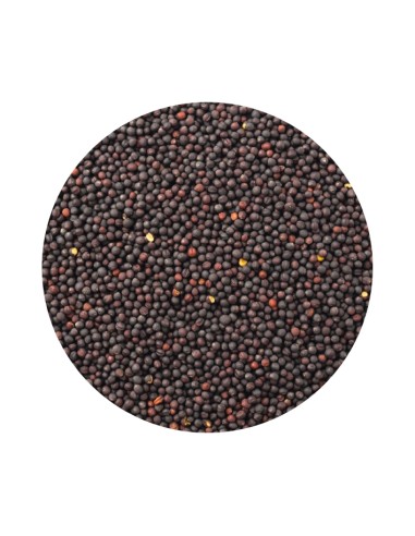 PET CUP COLZA - 20 KG 20 KG