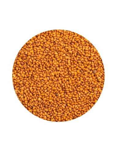 PET CUP CAMELINA - 2 KG 2 KG