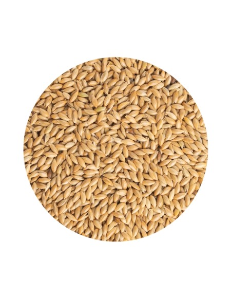 PET CUP ALPISTE - 20 KG 20 KG