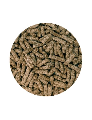 PET CUP PIENSO PERFECT COBAYA 500 GR