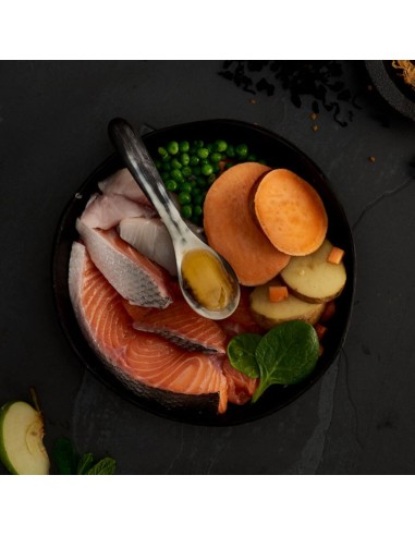 CANAGAN SALMÓN ESCOCÉS PARA PERROS 2 KG 12 KG 6 KG - 2