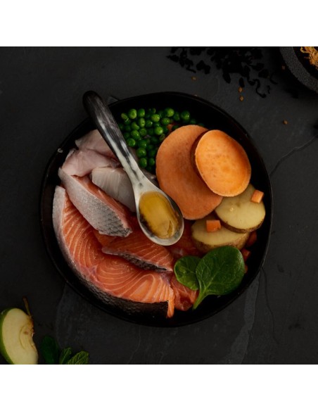 CANAGAN SALMÓN ESCOCÉS PARA PERROS 2 KG 12 KG 6 KG - 2