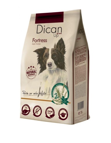 DICAN UP FORTRESS ALTA ENERGÍA - 14 KG - 2