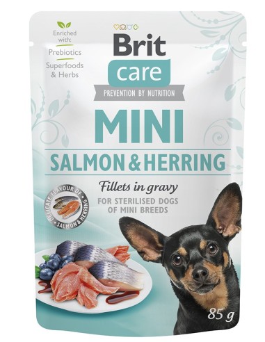BRIT CARE MINI FILETES DE SALMÓN Y ARÁNDANOS POUCHE PERROS - 85 GR 85 GR - 2