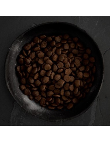 CANAGAN SALMÓN ESCOCÉS PARA PERROS 2 KG 12 KG 6 KG - 4