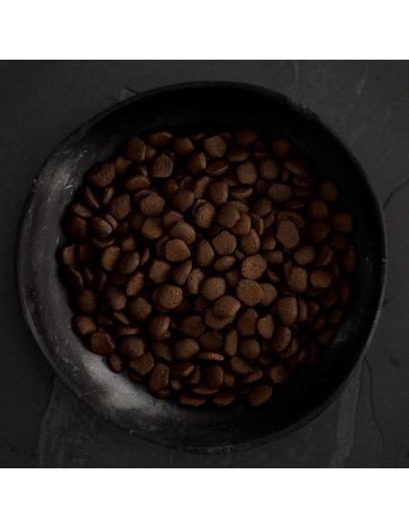 CANAGAN SALMÓN ESCOCÉS PARA PERROS 2 KG 12 KG 6 KG - 4