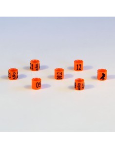 RSL ANILLA PLÁSTICO CERRADA DE AÑO CANARIOS (25 UNIDADES)