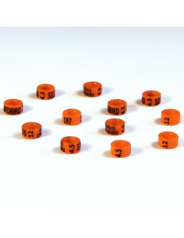 RSL ANILLA PLÁSTICO CERRADA DE AÑO AGAPORNIS (25 UNIDADES)