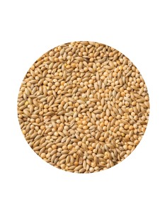 PET CUP MIXTURA DIAMANTE GOULD - 20 KG 20 KG