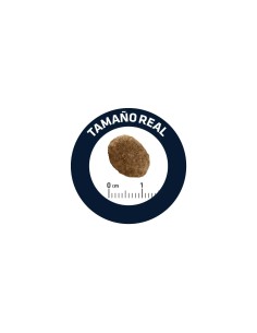 AFFINITY ADVANCE ADVANCE VETERINARY DIETS URINARY GATOS 8 KG 3 KG 1.5 KG 400 GR - 2 2