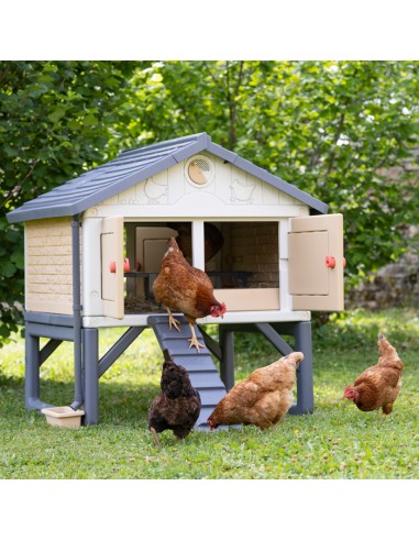 COPELE MI PRIMER GALLINERO  - 8