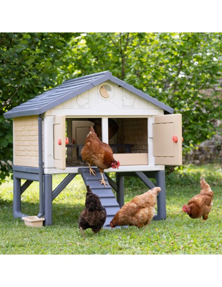 COPELE MI PRIMER GALLINERO  - 8