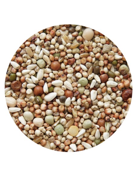 PET CUP MIXTURA PALOMOS CRÍA - 25 KG 25 KG