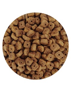 PET CUP GATOS ESTERILIZADOS 3 KG 10 KG 1 KG 2