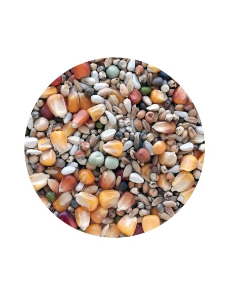 PET CUP MIXTURA PALOMOS SPORT - 25 KG 25 KG