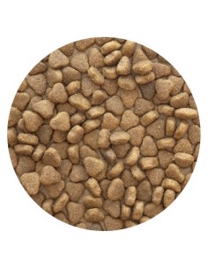 PET CUP CORDERO - 14 KG 14 KG 2