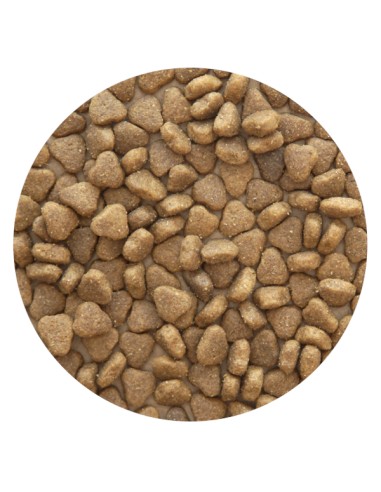 PET CUP CORDERO - 14 KG 14 KG