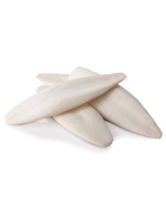 PET CUP HUESO DE SEPIA - 1 KG 1 KG