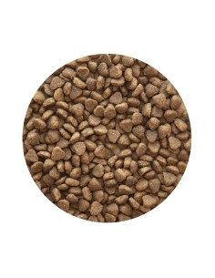 PET CUP ADULT MINI PREMIUM 3 KG 14 KG 2