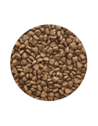 PET CUP ADULT MINI PREMIUM 3 KG 14 KG