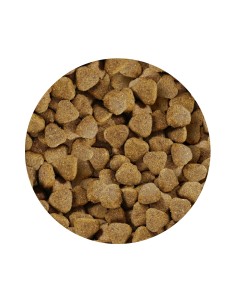 PET CUP ADULT PREMIUM SALMON 3 KG 14 KG 2