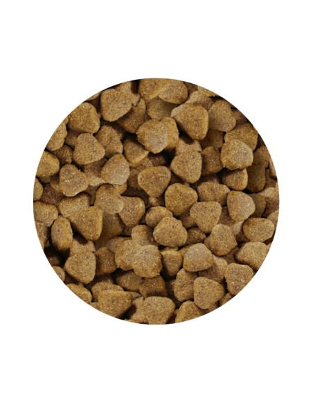 PET CUP ADULT PREMIUM SALMON 3 KG 14 KG