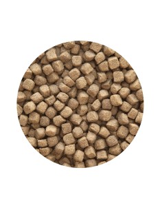 PET CUP ADULT PREMIUM POLLO - 14 KG 14 KG 2