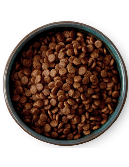 MCADAMS POLLO CAMPERO Y SALMÓN PARA PERROS DE RAZAS PEQUEÑAS 5 KG 2 KG - 2