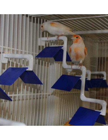 MOLDES AVE POSADERA MADEIRA 3 PUESTOS  - 2