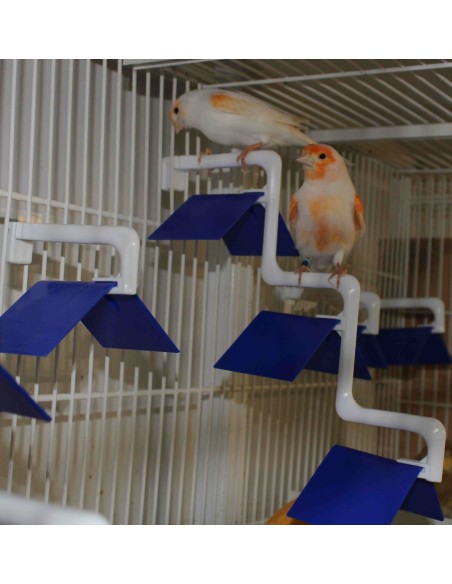 MOLDES AVE POSADERA MADEIRA 3 PUESTOS  - 2