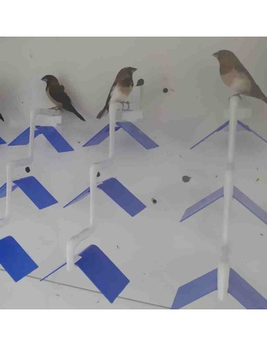 MOLDES AVE POSADERA MADEIRA 3 PUESTOS  - 3