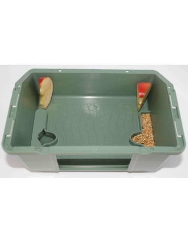 MOLDES AVE TRASNPORTÍN EL ARCA  - 2