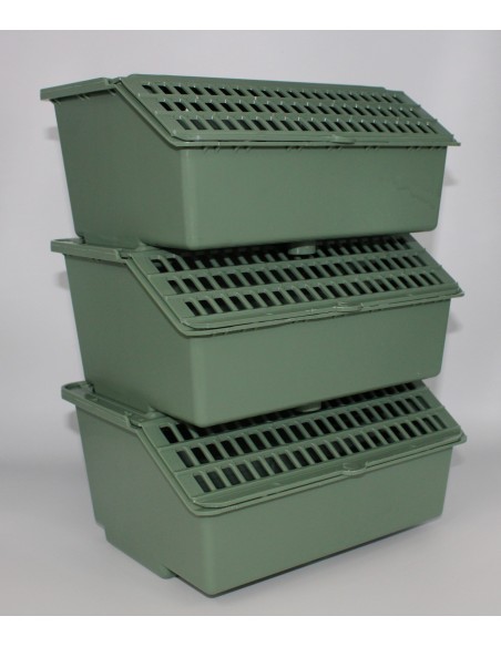 MOLDES AVE TRASNPORTÍN EL ARCA  - 4